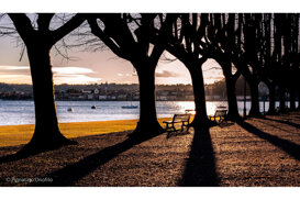 Onofrio Pignataro Arona seen from Angera - Lake Maggiore