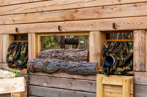 ff0d0619-2ea1-4588-8c5d-ed9b0b665694