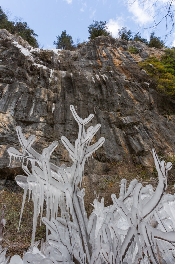 fe430f12-e772-4a05-ae3e-101dc5560c20