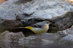 e6ea46f3-3db8-443c-b424-83c54407198b e6ea46f3-3db8-443c-b424-83c54407198b