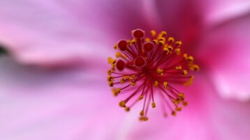 af20e1a0-5241-479e-af9f-34295cba4fc4