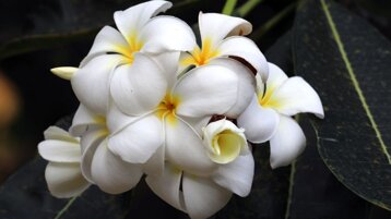 3615bed5-efb2-48bf-bdc8-3227c868ddfa