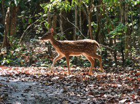 Photo by Gianni Alberti