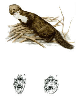 2523222e-4a67-406d-866c-5380d9895ac5