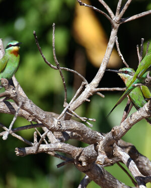 eyJpdCI6IiJ9 eyJpdCI6IiJ9