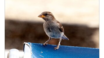 280fadc4-9d6c-4b4d-a082-a4d30df31b62