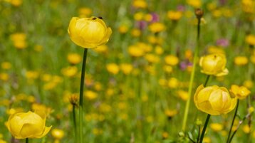 96642263-e102-4010-8130-55cf1f7ea53e