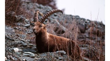 6302604a-e96d-42a6-a70c-0b4b730e0163