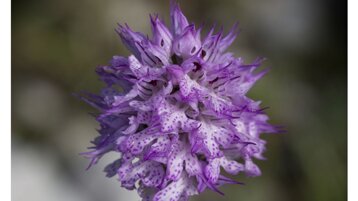 3115df5d-565a-4b08-a732-72e398030528