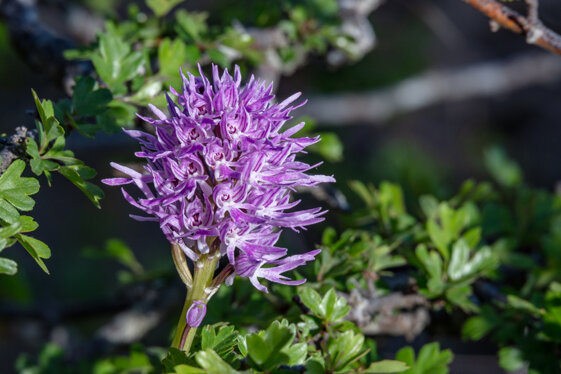 cc3aa379-5539-44ca-8d5a-69f92d1541d8