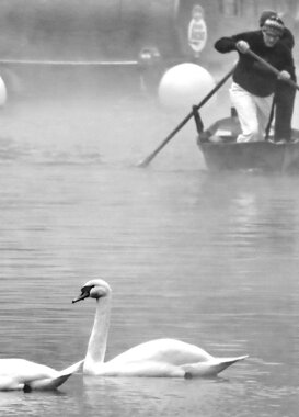 Gianni Alberti Darsena - Milan