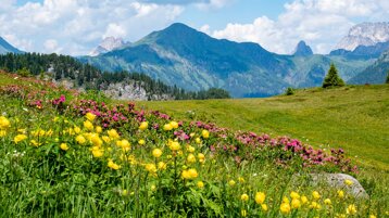 bc62dd88-4eed-4975-824a-600827389172