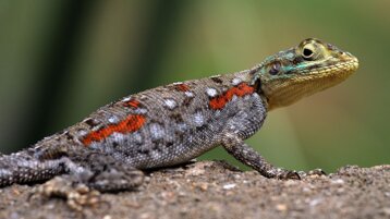 66a72f4a-ede7-4d5a-bd10-b192271e826b