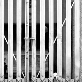 Photo by Alberto Scibona Cave canem – Milan, 2020 - © Alberto Scibona