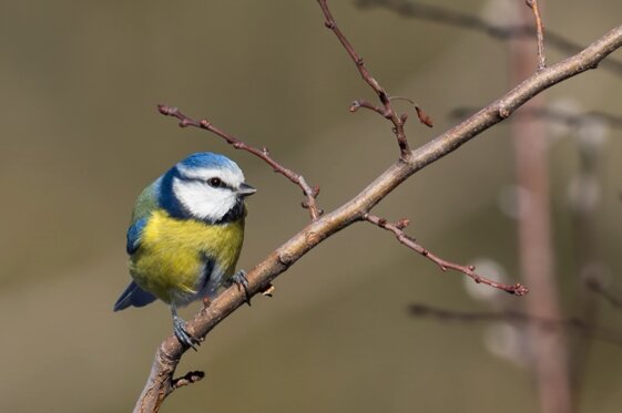 493d15b7-b305-431c-8a45-c90b2c95bc2a 493d15b7-b305-431c-8a45-c90b2c95bc2a