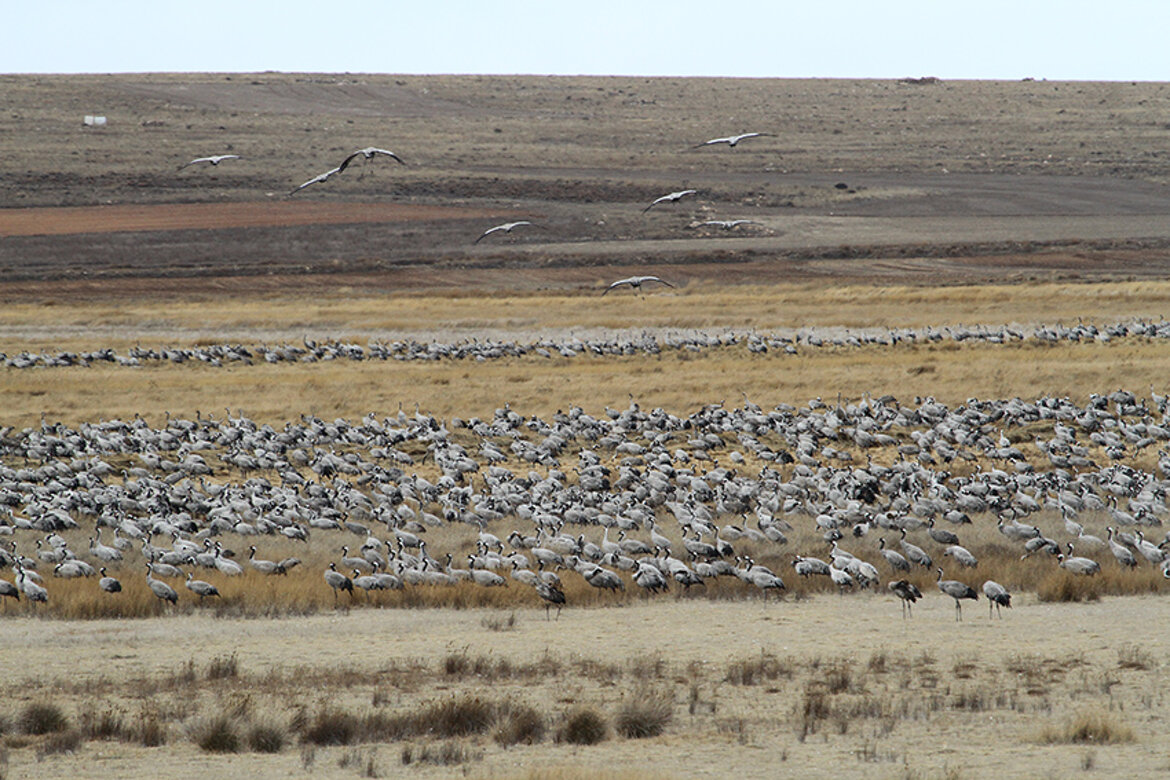 93bacbfe-a754-4a3b-9396-683898047ef9