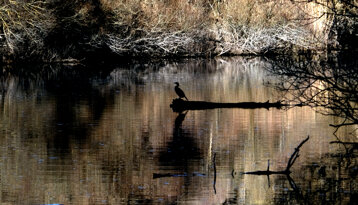 bd9b35ef-339e-4bfe-a99e-c377a2dfce3f