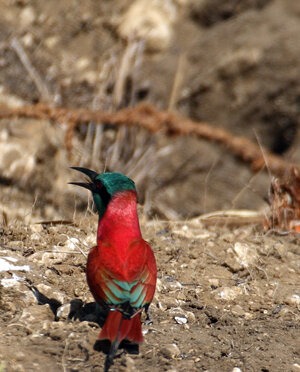 eyJpdCI6IiJ9 eyJpdCI6IiJ9