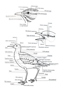 ec1a6733-6e77-4777-bfd1-71434559d9cd ec1a6733-6e77-4777-bfd1-71434559d9cd