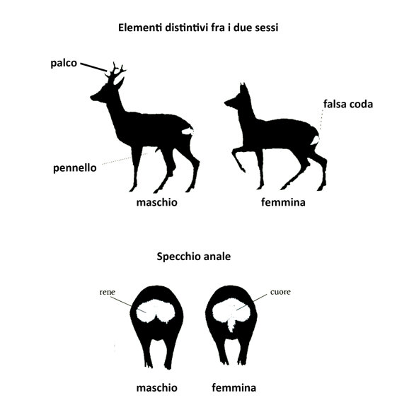 9c181007-6d3e-4bc1-bff7-c7854ce1d6c1