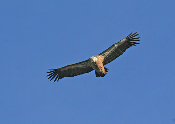 c6b03ca3-8deb-42d5-893e-5b5ba418e0a2