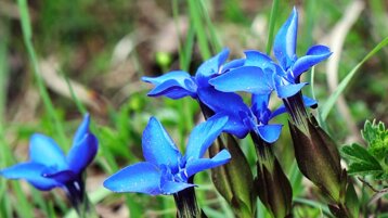 8593b4c4-f2fe-40db-988c-8f3283bfde22