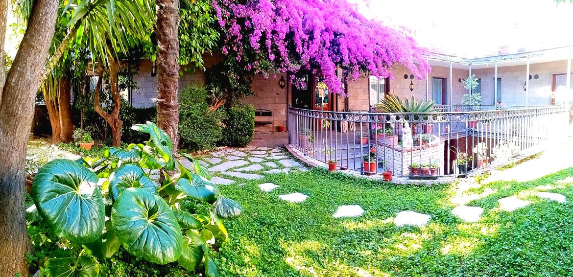 eyJlbiI6IkdpYXJkaW5vIGluZ3Jlc3NvIn0=