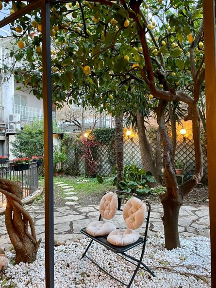 whatsapp image 2026-02-21 at 17.44.10.jpeg