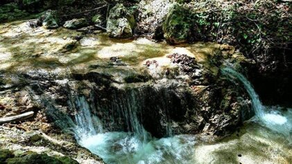 a7438929-2f1f-4313-a038-36cf1a174f2d.jpeg