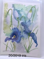 acquarelli-originali-misura-cm-25-x-18-cm