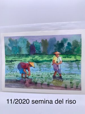 acquarelli-originali-misura-cm-25-x-18-cm