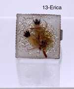 anelli-con-resina-e-fiori-reali