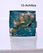 anelli-con-resina-e-fiori-reali