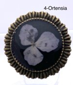 anelli-con-resina-e-fiori-reali