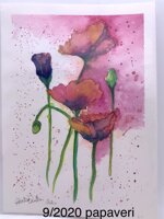 acquarelli-originali-misura-cm-25-x-18-cm