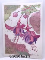 acquarelli-originali-misura-cm-25-x-18-cm