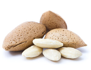 rif496-mandorla-pralinata-tostata-salata-gr-100