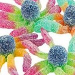 ragni-frizzanti-gr-100