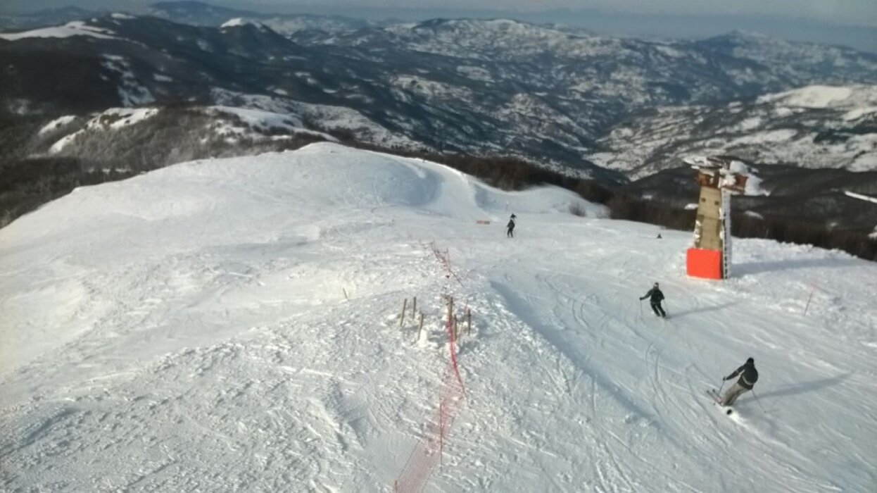 11751c81-1cff-483e-bbb5-2b14d9b63e69 11751c81-1cff-483e-bbb5-2b14d9b63e69