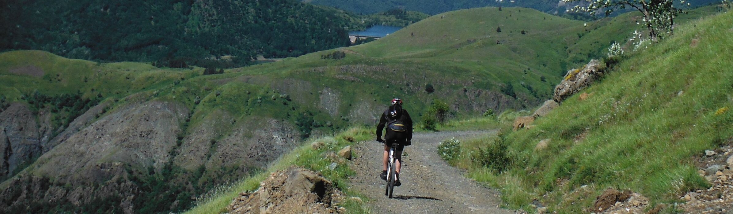 f00f2c5b-194c-4e2c-ab35-aad0cb64b4aa f00f2c5b-194c-4e2c-ab35-aad0cb64b4aa