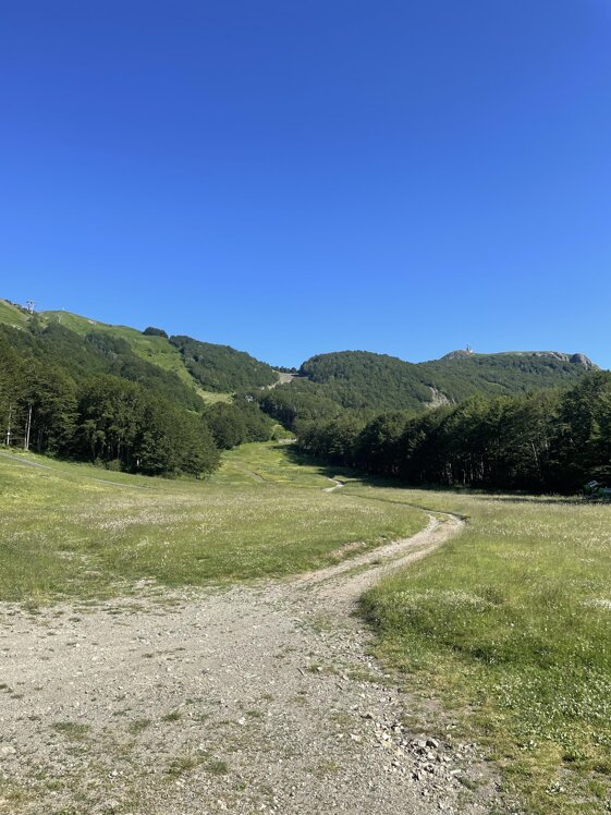 ca7e0e97-575a-47fa-a7f1-62c871533d28.jpeg ca7e0e97-575a-47fa-a7f1-62c871533d28.jpeg