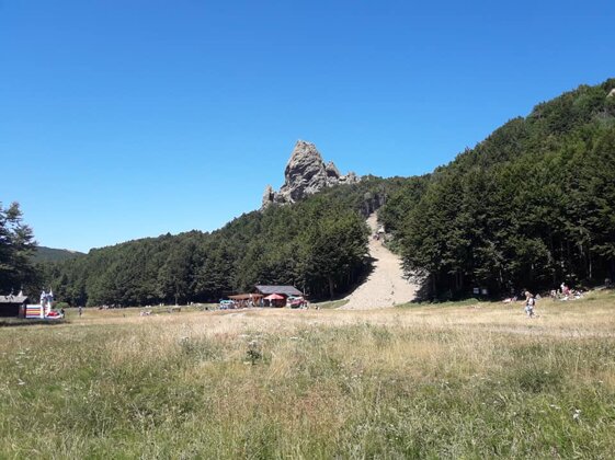 a43d8a4a-f1da-4095-abe3-6128e8d51005 a43d8a4a-f1da-4095-abe3-6128e8d51005