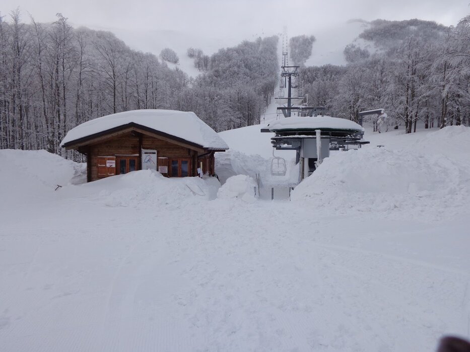 37f79cd0-570a-43a3-a8c7-723d6bf7d709 37f79cd0-570a-43a3-a8c7-723d6bf7d709