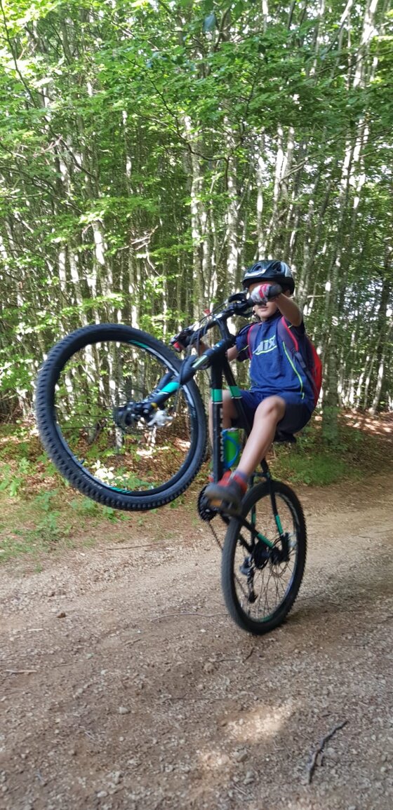 2fafd236-debc-415d-9ca3-c946ff4c7c11 2fafd236-debc-415d-9ca3-c946ff4c7c11