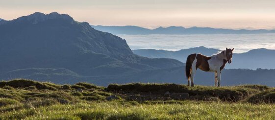 9b9ef8d9-15c0-40c5-8d54-10a308c7fcbd.jpeg 9b9ef8d9-15c0-40c5-8d54-10a308c7fcbd.jpeg