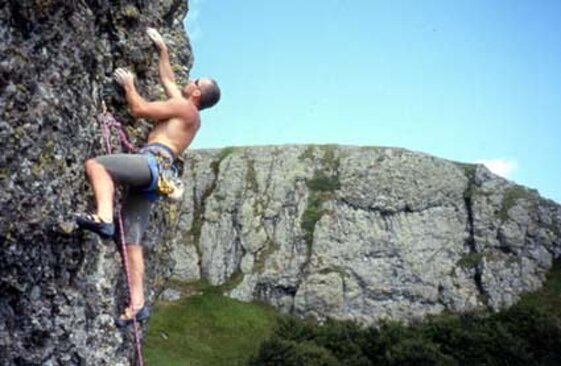 1a8ddb29-3733-44ff-81ad-afd28a8b90b8