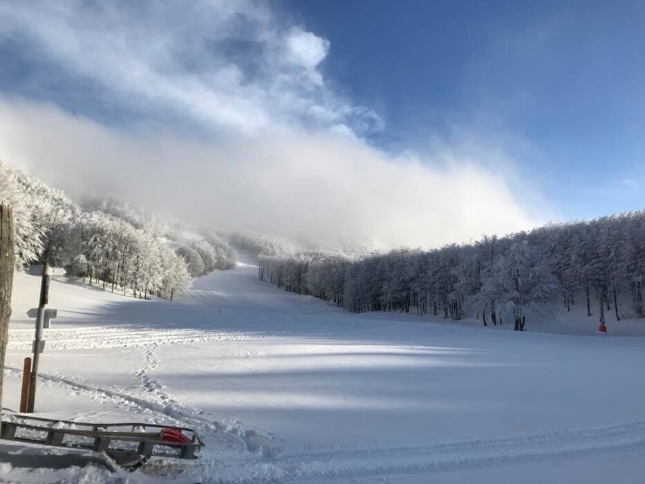 f98f7679-3414-4a35-be29-21fff53f8c17 f98f7679-3414-4a35-be29-21fff53f8c17