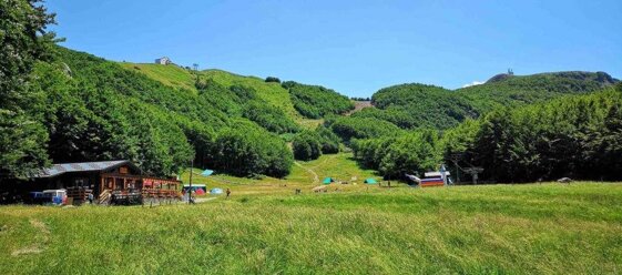 9579f6a7-cf82-4267-882b-e9e527f2da85.jpeg 9579f6a7-cf82-4267-882b-e9e527f2da85.jpeg