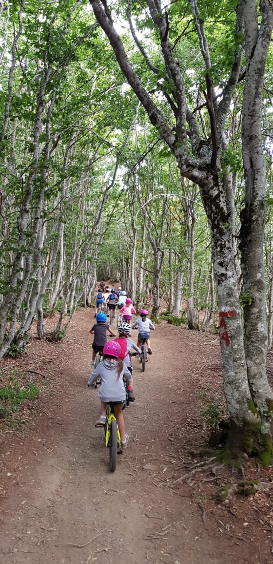 07d19534-69e6-4049-9422-ff390dec9471 07d19534-69e6-4049-9422-ff390dec9471