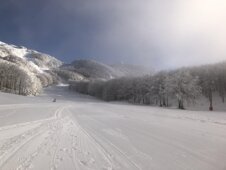 4db8e0ed-bc6f-4e05-9cce-611e91c76d46.jpeg 4db8e0ed-bc6f-4e05-9cce-611e91c76d46.jpeg